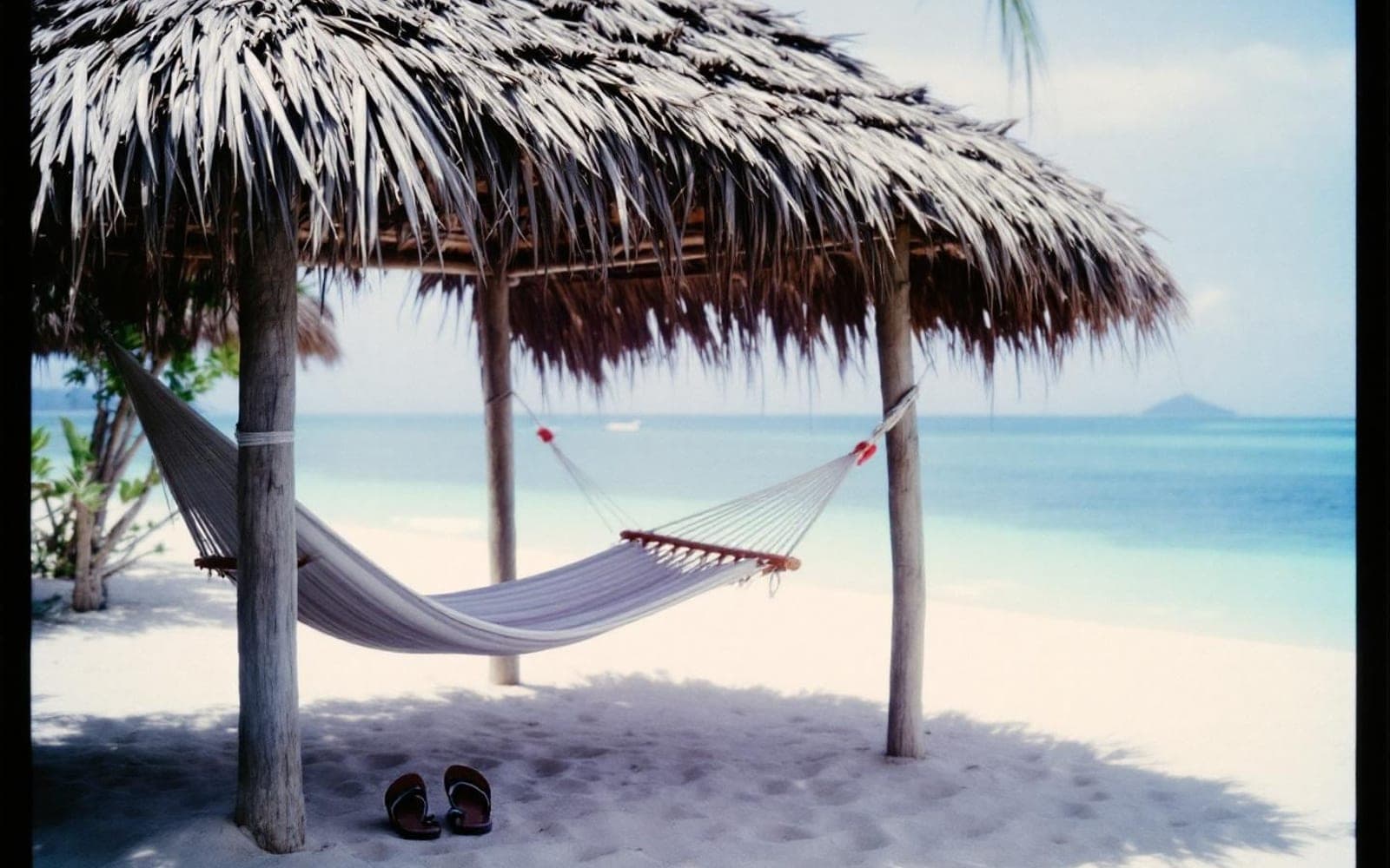 Discovering El Cielo: Cozumel's Hidden Starfish Paradise
