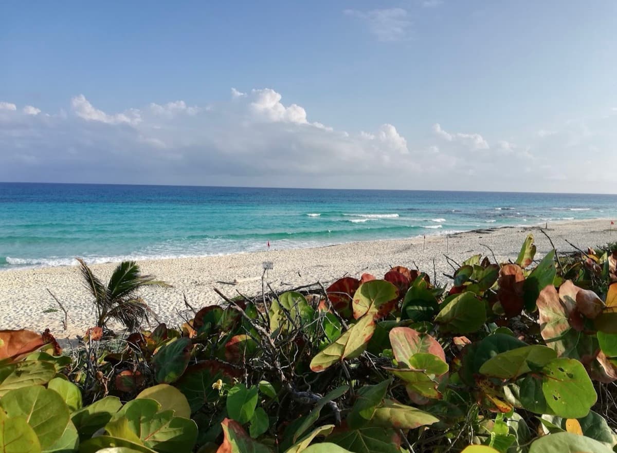 Cozumel Island coastline