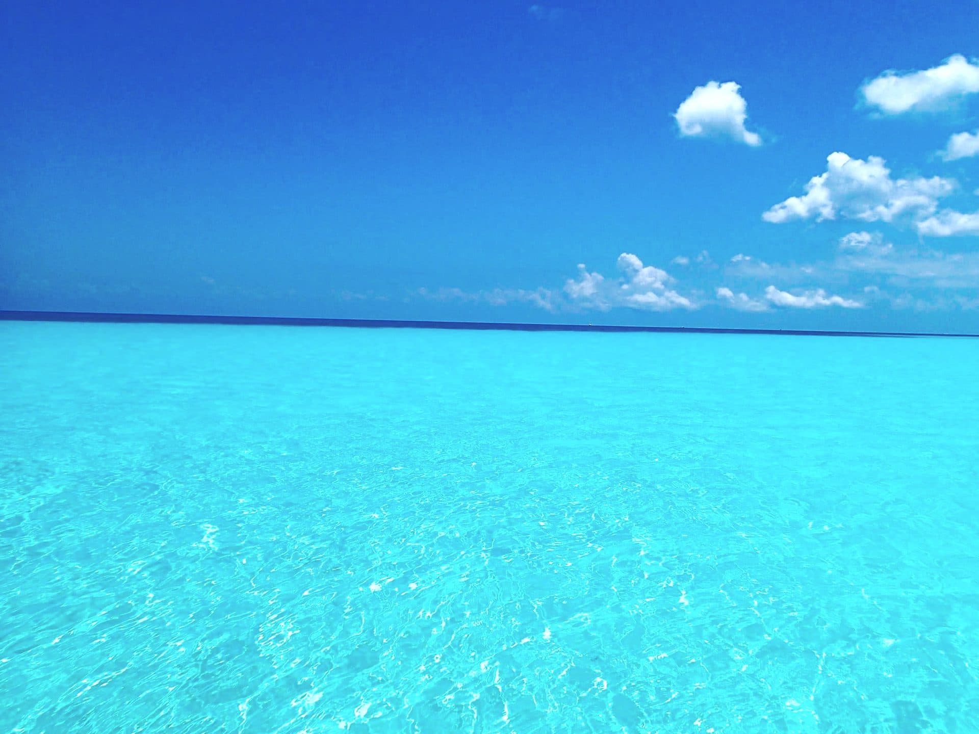 MindScape Retreat Cozumel